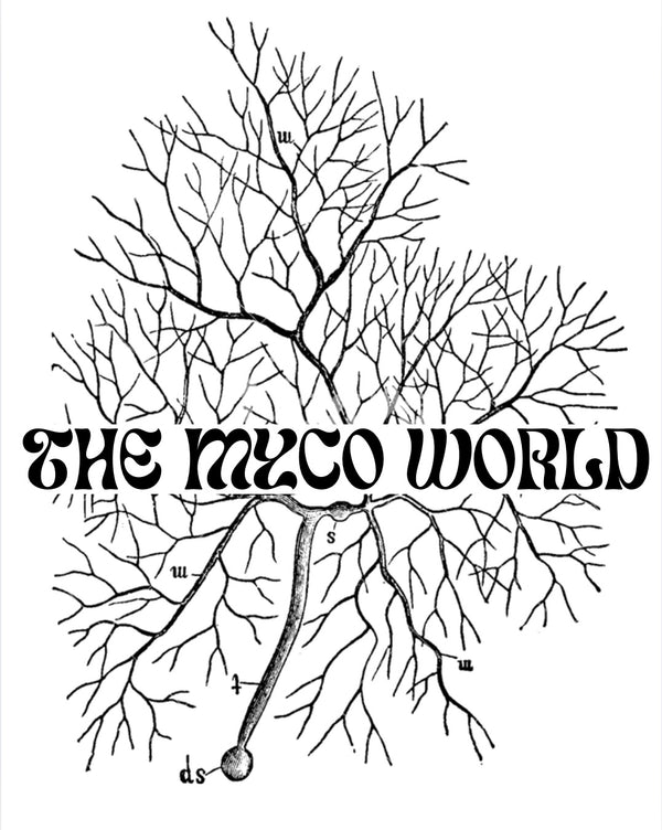 The Myco World